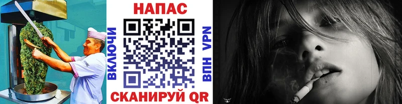 shop наркотические препараты  Олонец  Canna-Cookies конопля 